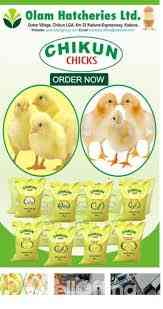 Olam Nigeria Limited Hatcheries and Feed